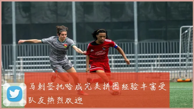 马刺签托哈成完美拼图经验丰富受队友热烈欢迎