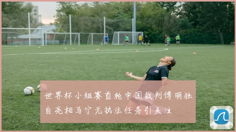 世界杯小组赛首轮中国裁判傅明独自亮相马宁无执法任务引关注